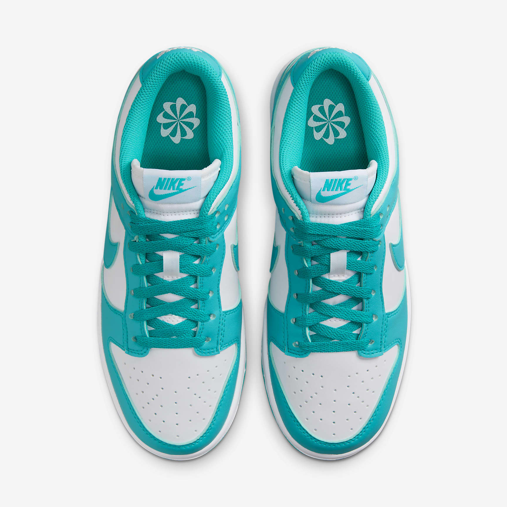 Nike Dunk Low Next Nature Women's Shoes
