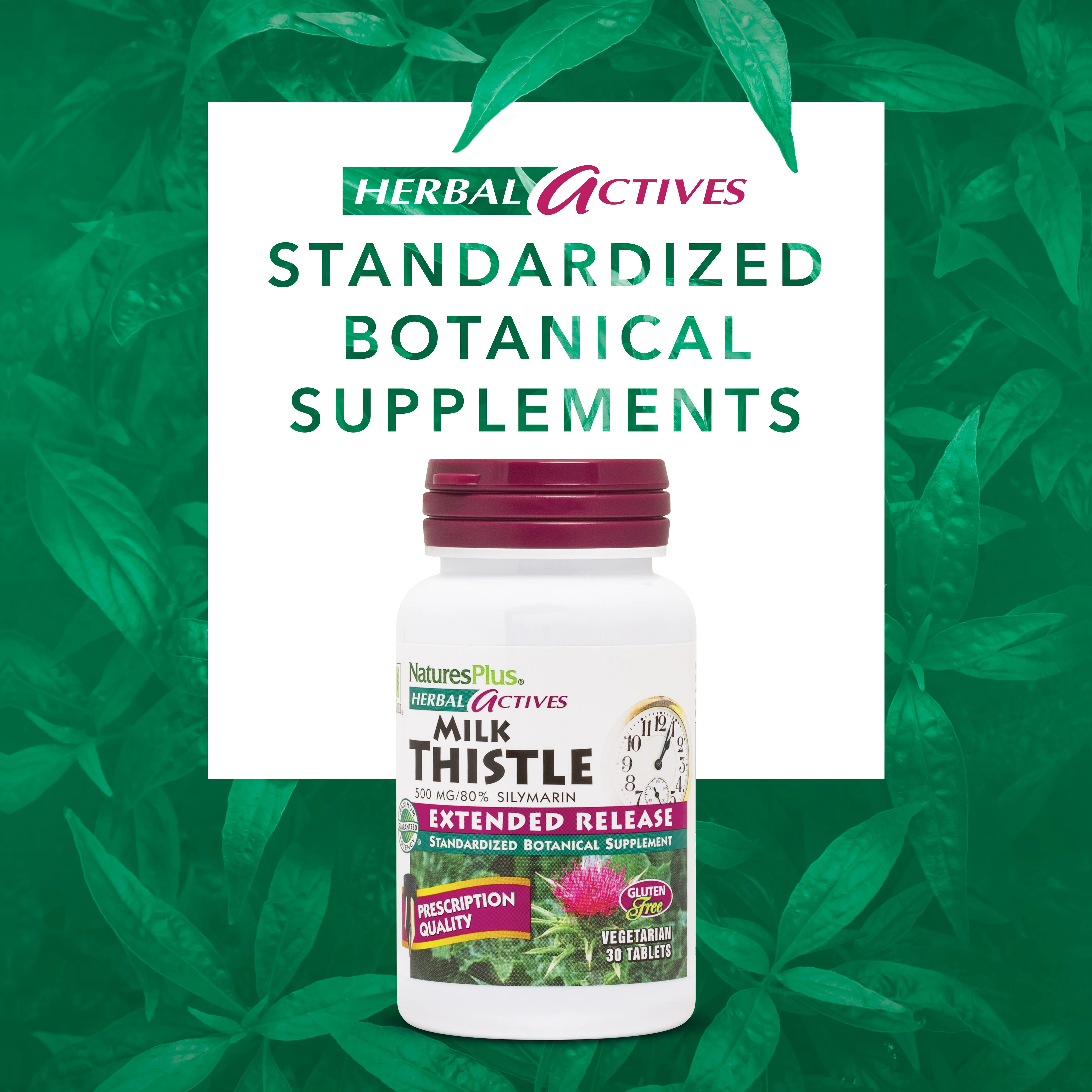 NaturesPlus, Herbal Actives, расторопша, с замедленным высвобождением, 500 мг, 30 таблеток