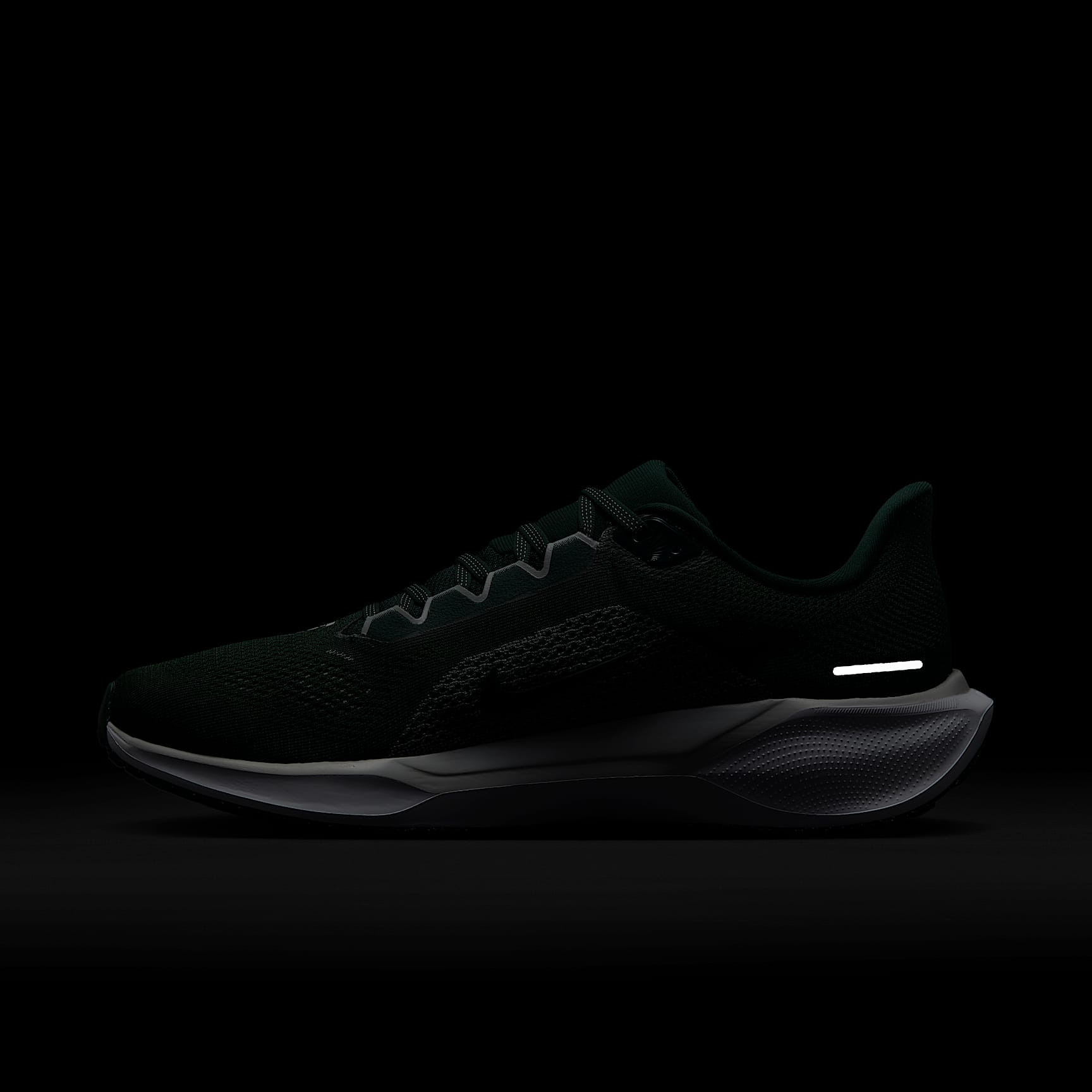 Michigan State Pegasus 41 Men's Nike College Road Running Shoes