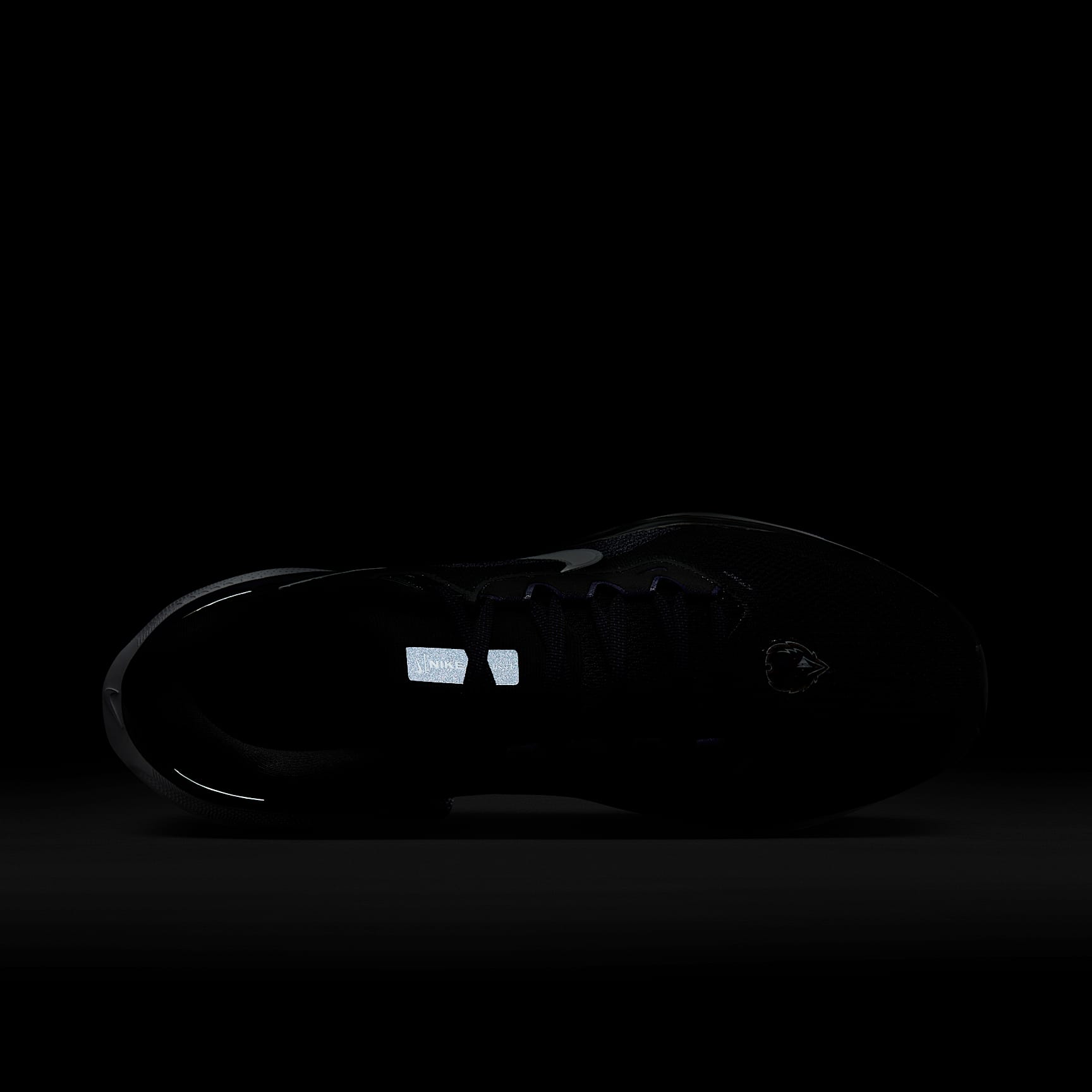 Nike Pegasus 41 NFL Baltimore Ravens Men's Road Running Shoes