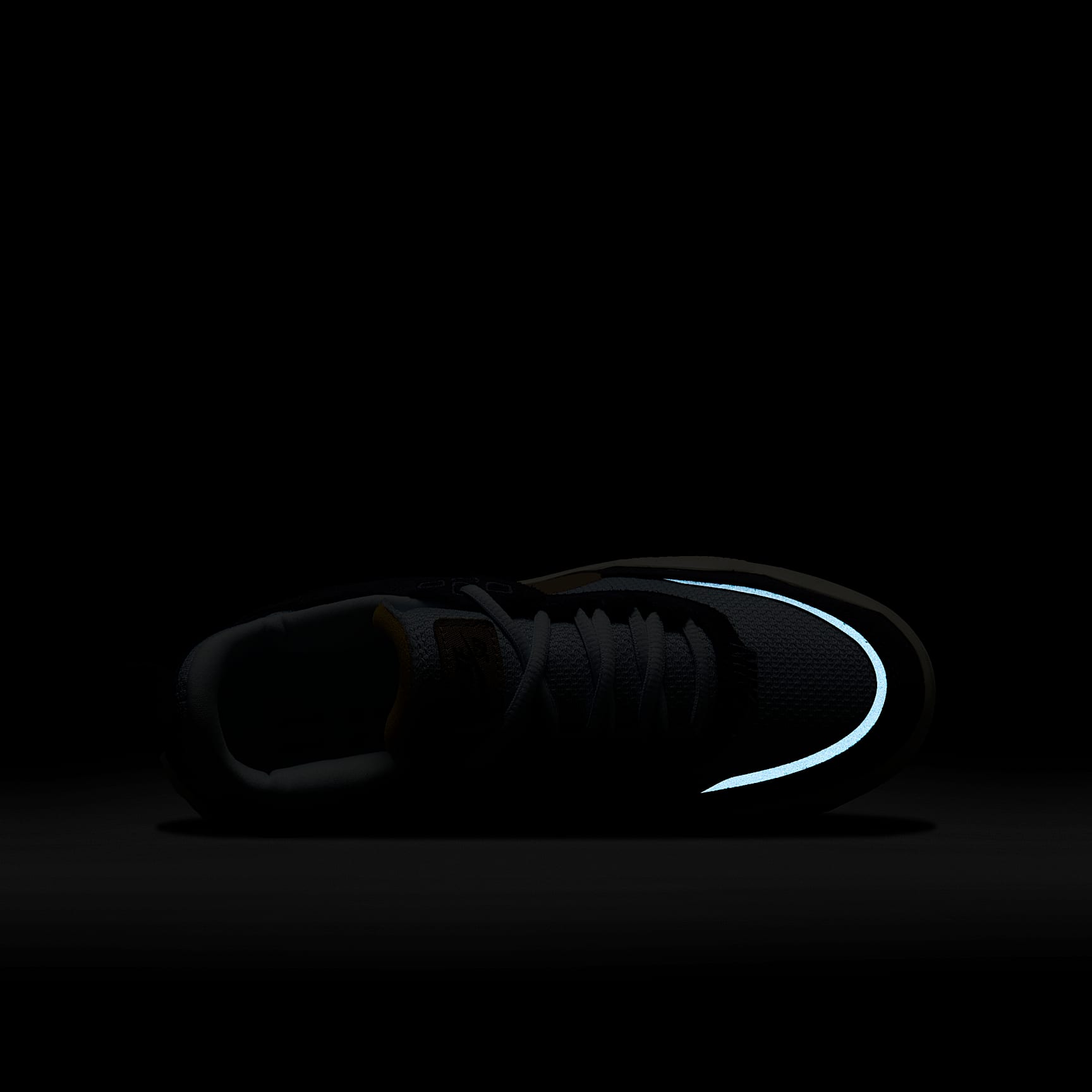 Nike SB Day One Big Kids' Skate Shoes