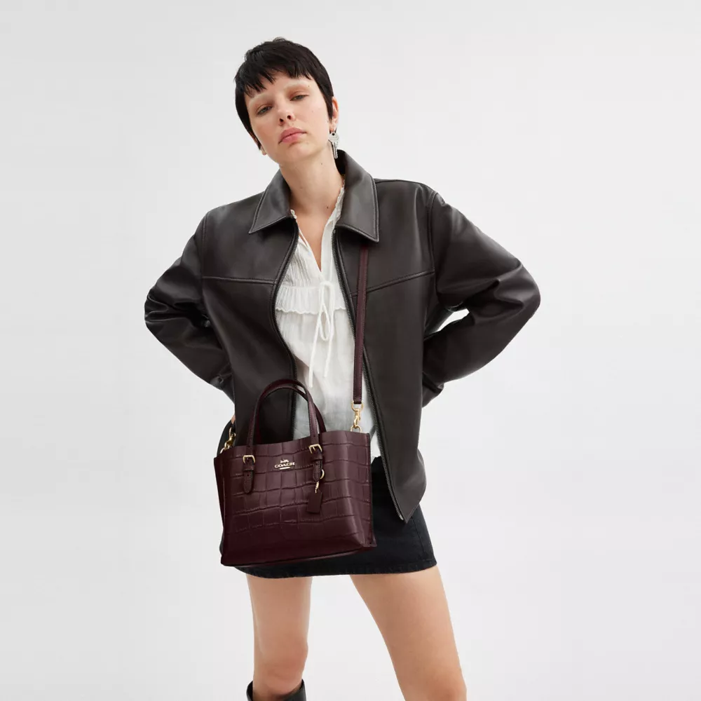Сумка COACH Mollie Tote Bag 25