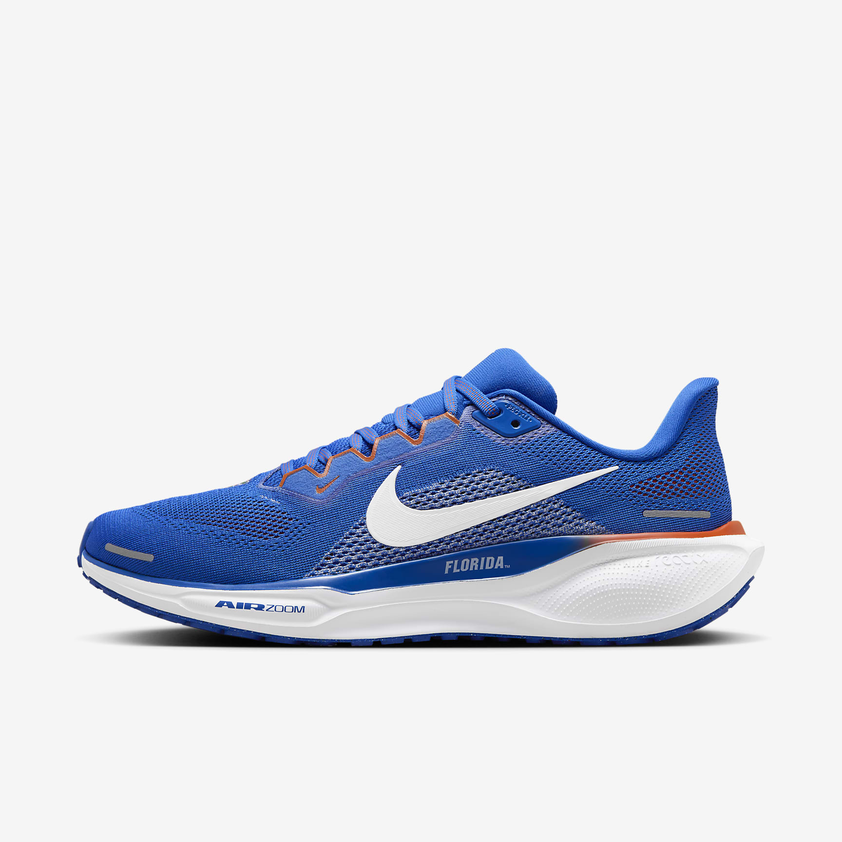 Florida Pegasus 41 Men's Nike College Road Running Shoes