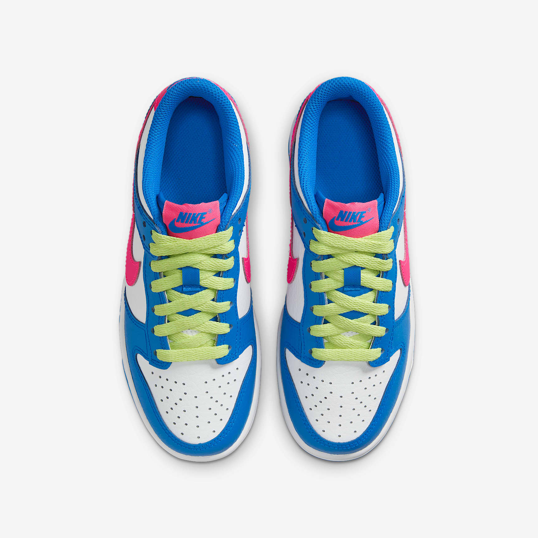 Nike Dunk Low Big Kids' Shoes