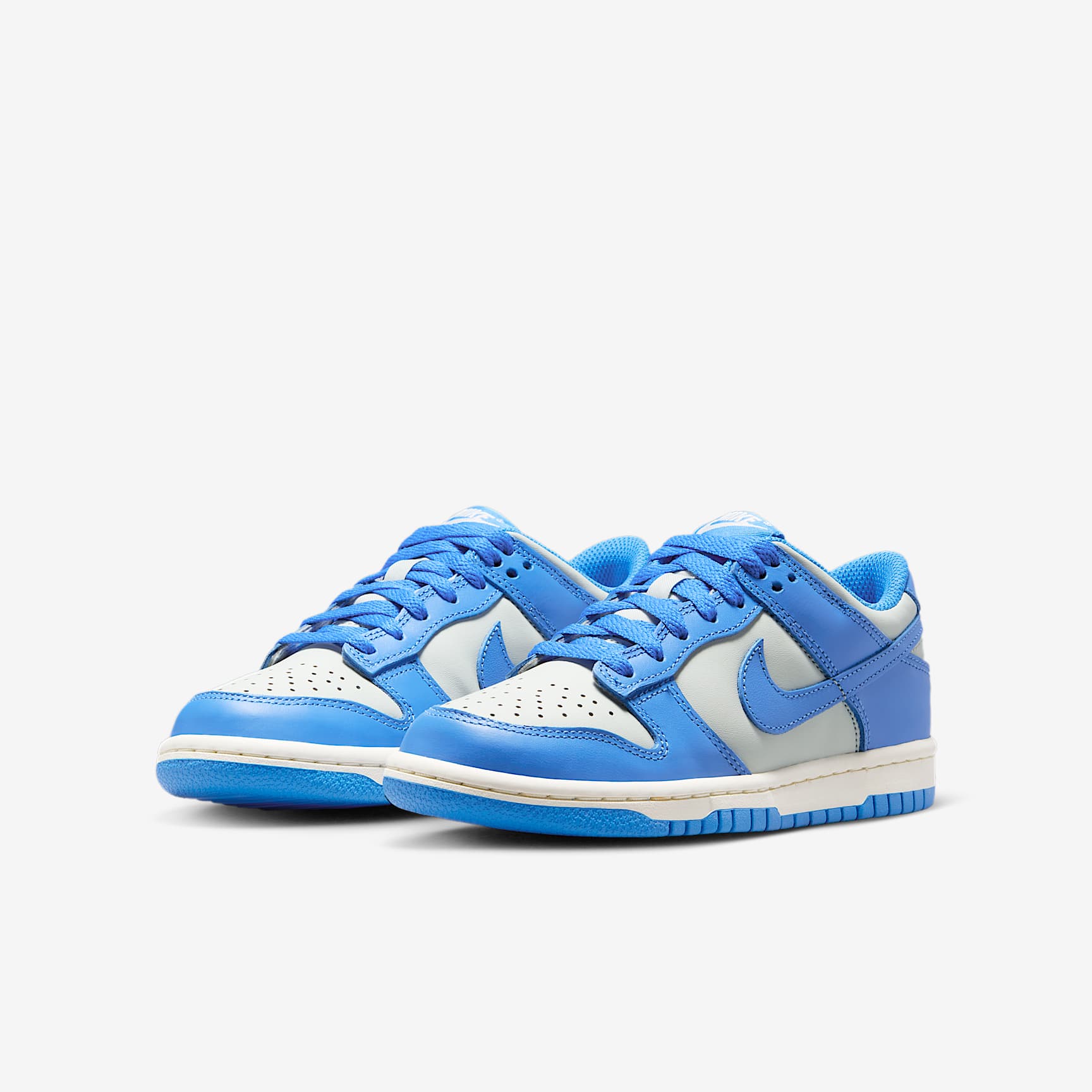 Nike Dunk Low Big Kids' Shoes
