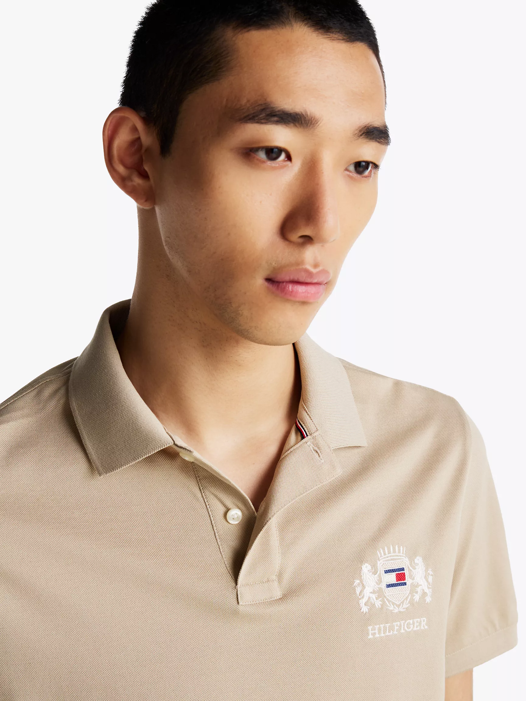 Мужское поло Tommy Hilfiger, Поло стандартного кроя с вышитым логотипом Crest и флагом