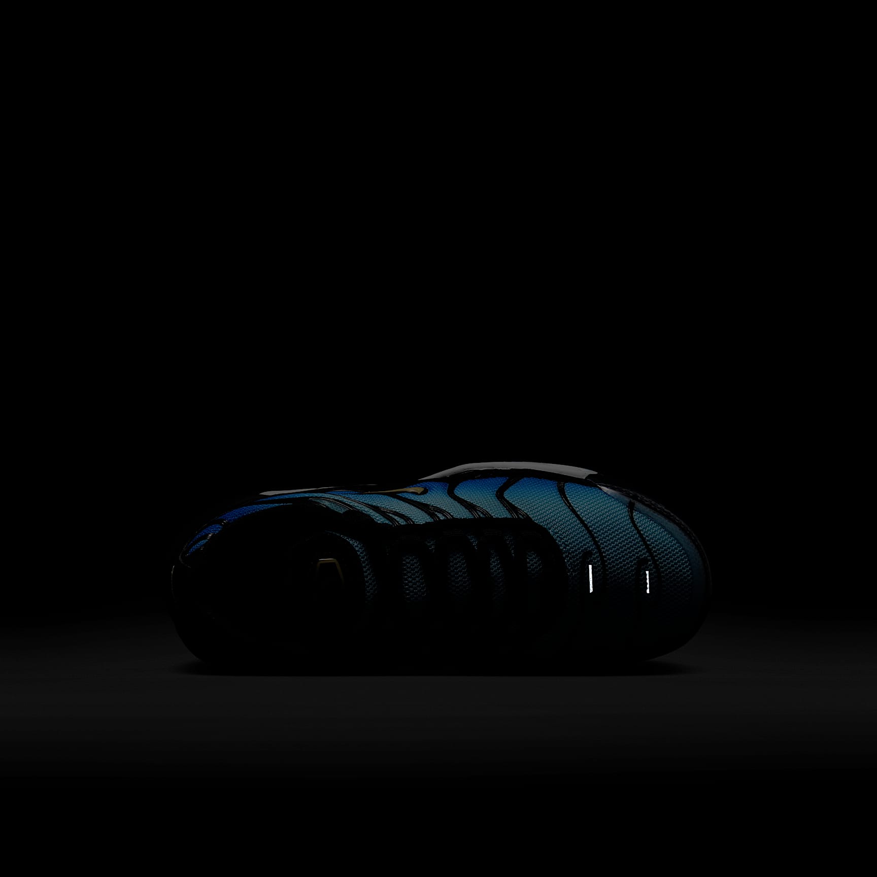 Nike Air Max Plus Little Kids' Shoes