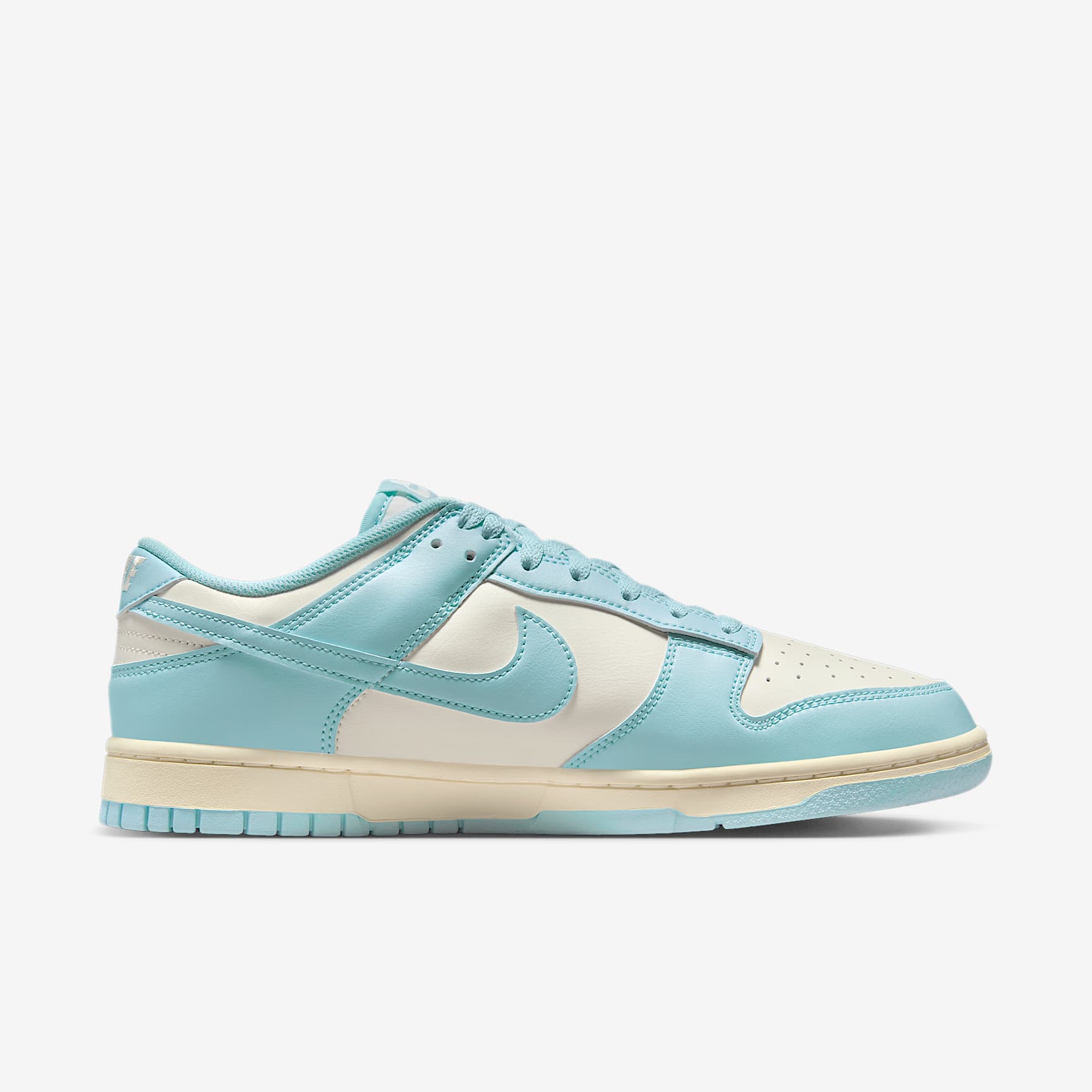 Nike Dunk Low Retro Men's Shoes