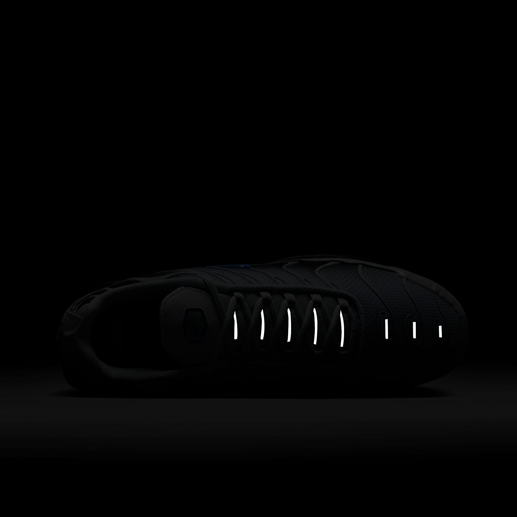 Nike Air Max Plus Men's Shoes