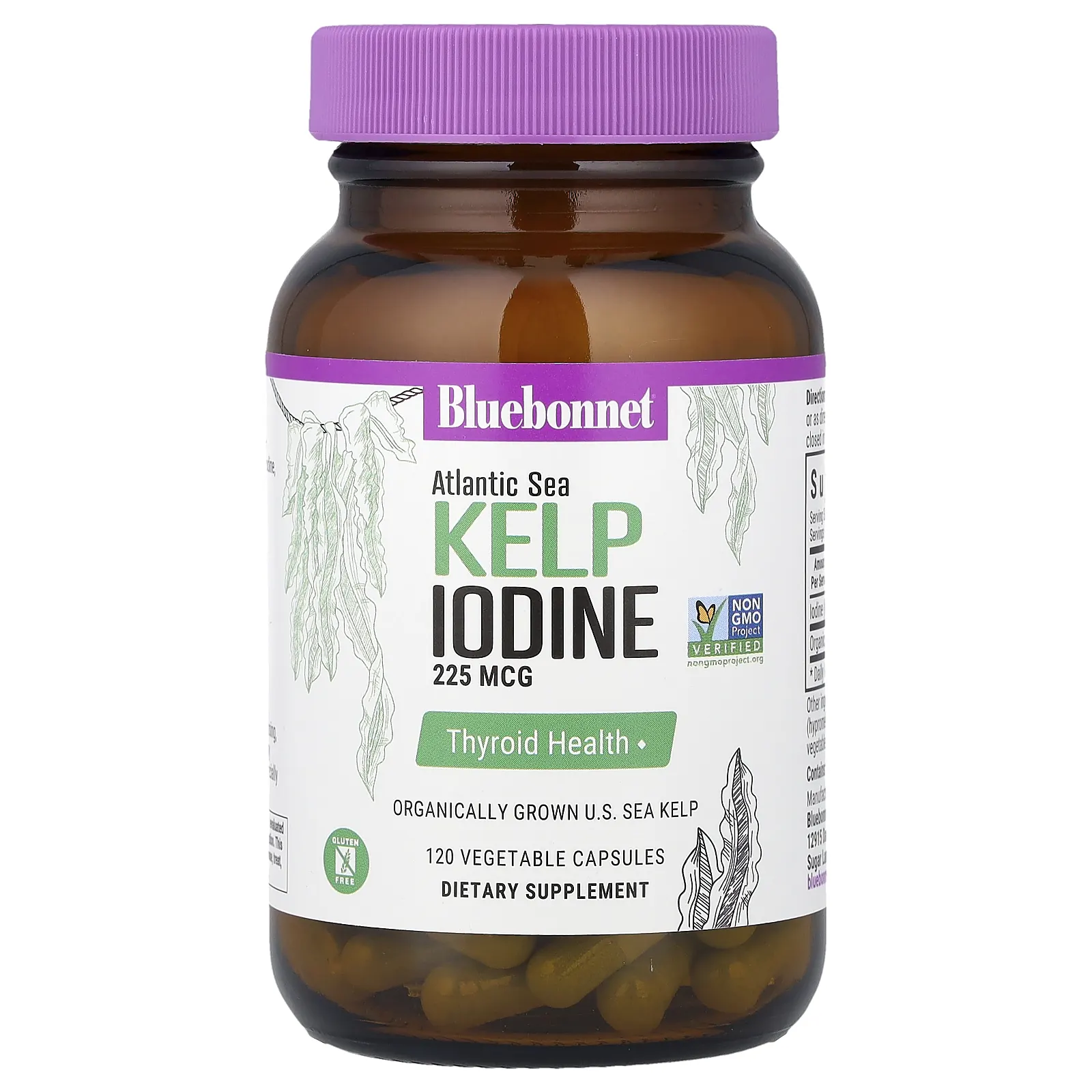 Bluebonnet Nutrition, йод из бурых водорослей атлантических морских водорослей, 225 мкг, 120 растительных капсул