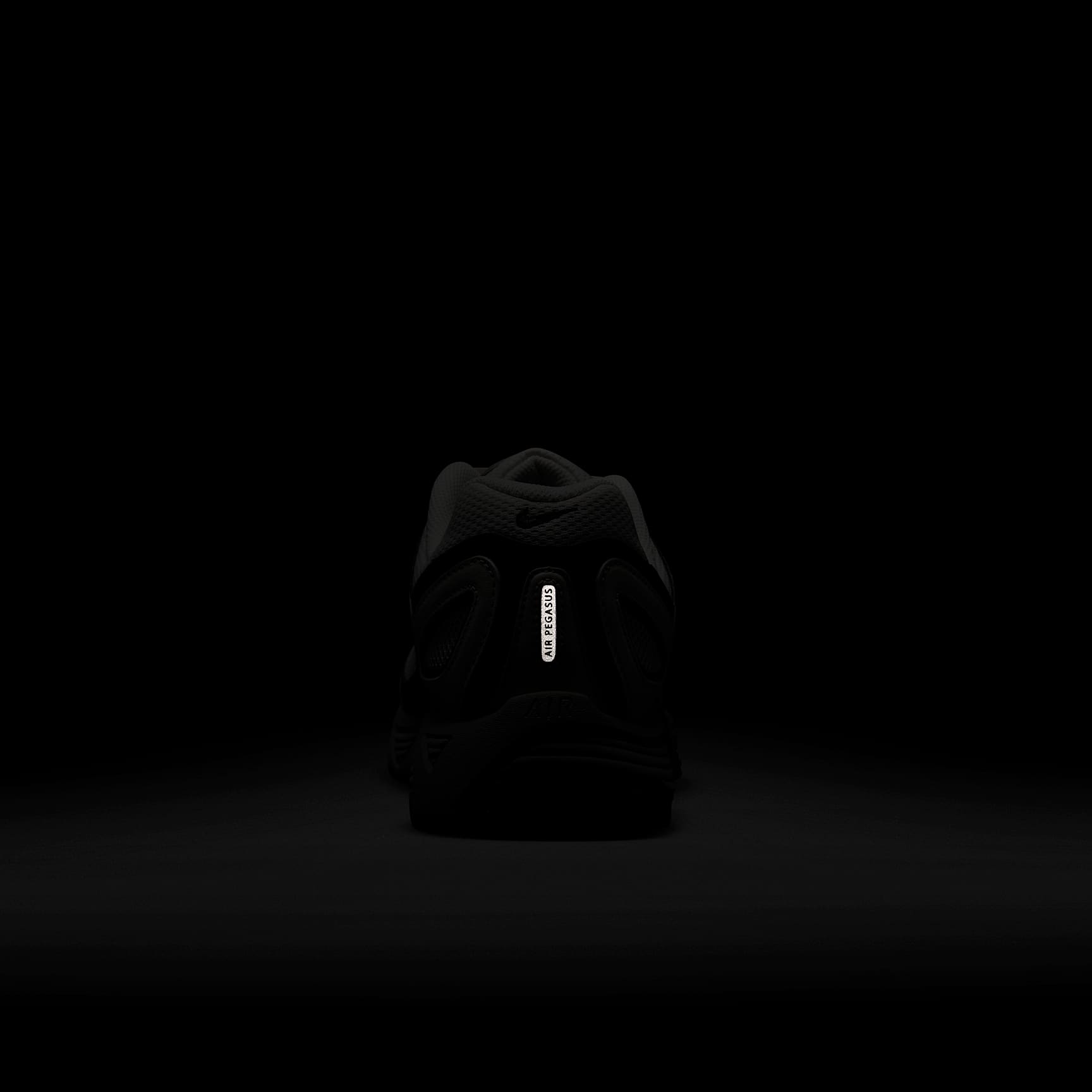 Nike Air Pegasus 2005 Men's Shoes