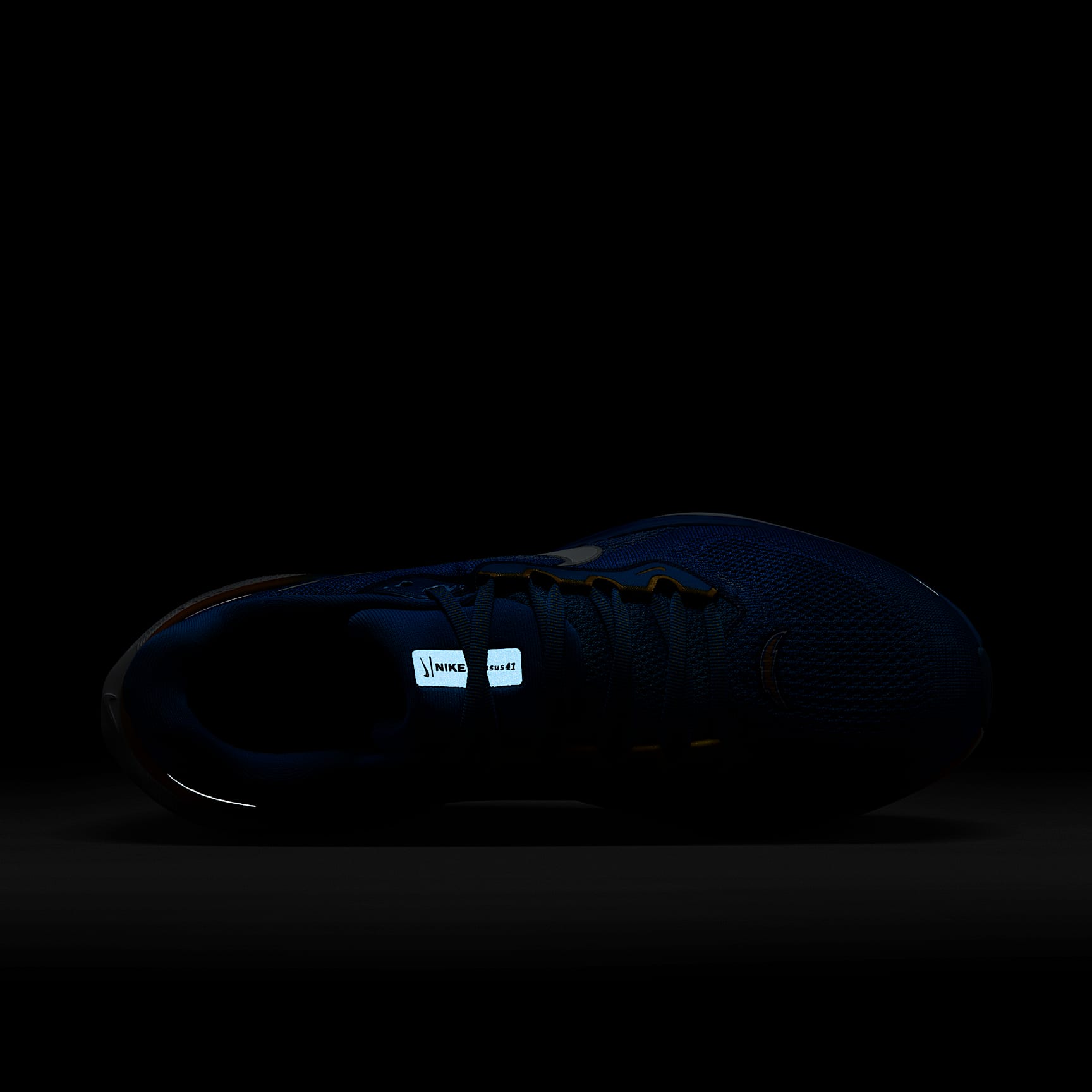 Nike Pegasus 41 NFL Los Angeles Chargers Men's Road Running Shoes