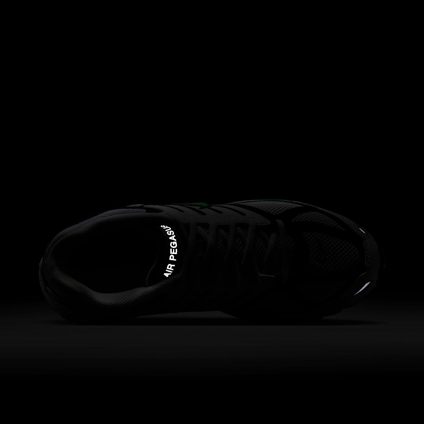 Nike Air Pegasus 2005 Men's Shoes