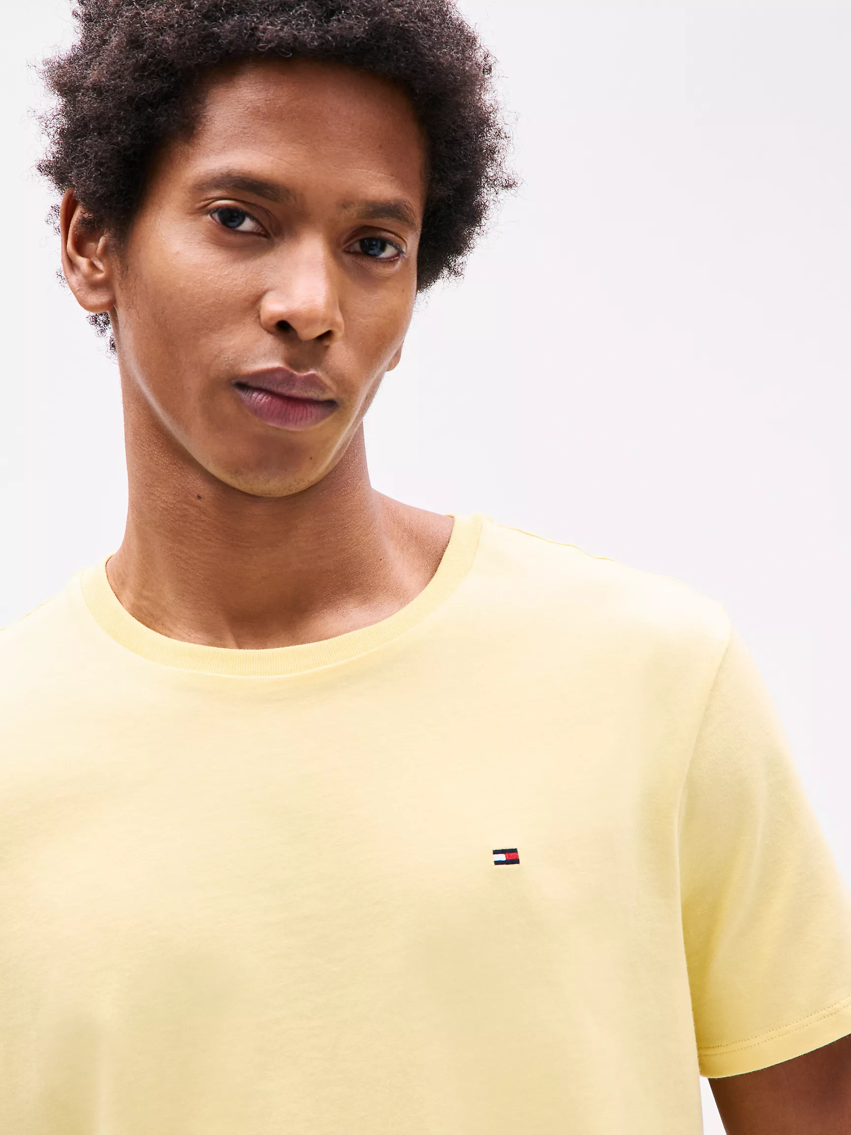 Мужская футболка Tommy Hilfiger, Повседневная футболка