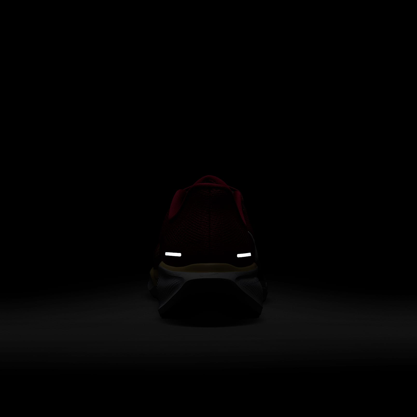 Florida State Pegasus 41 Men's Nike College Road Running Shoes