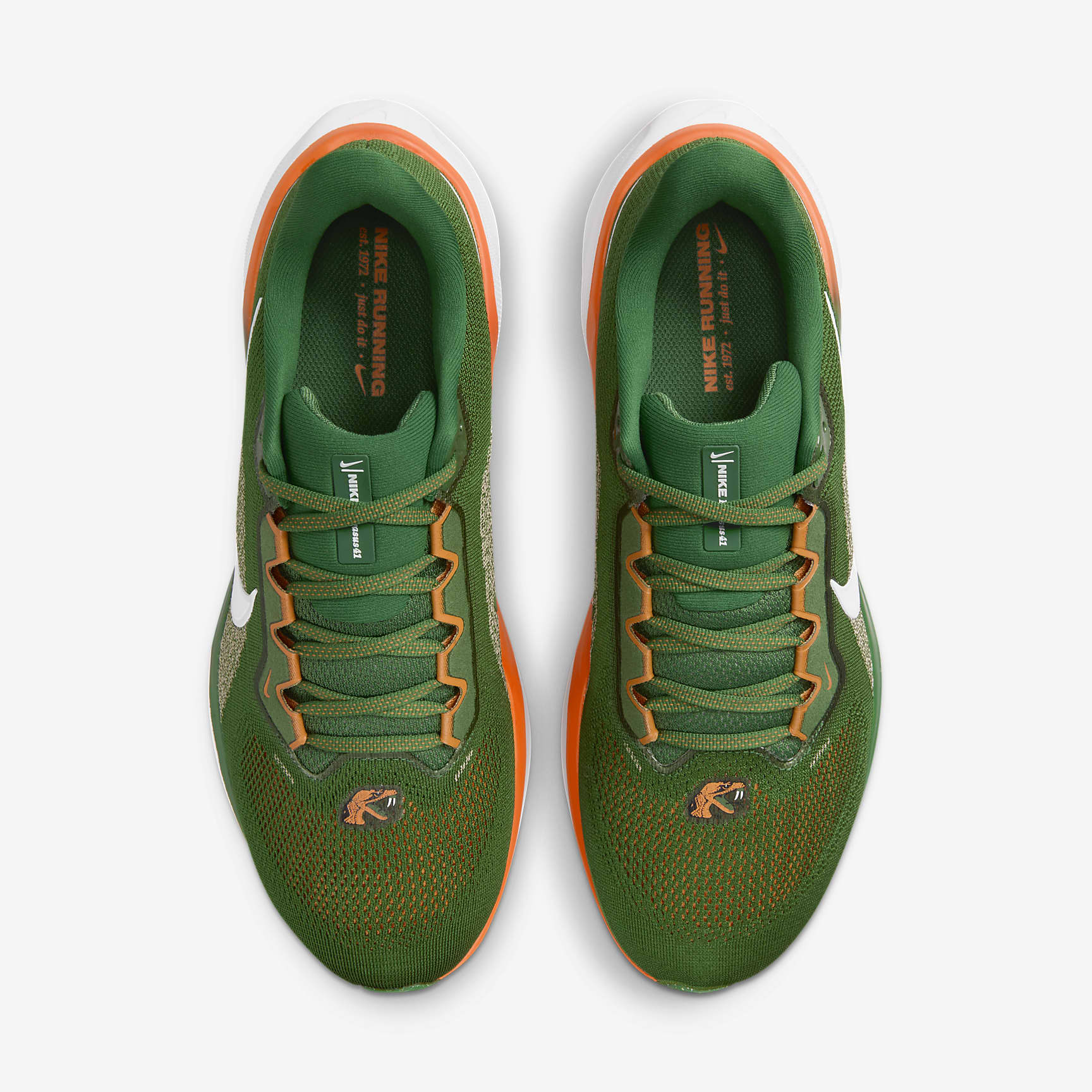 FAMU Pegasus 41 Men's Nike College Road Running Shoes