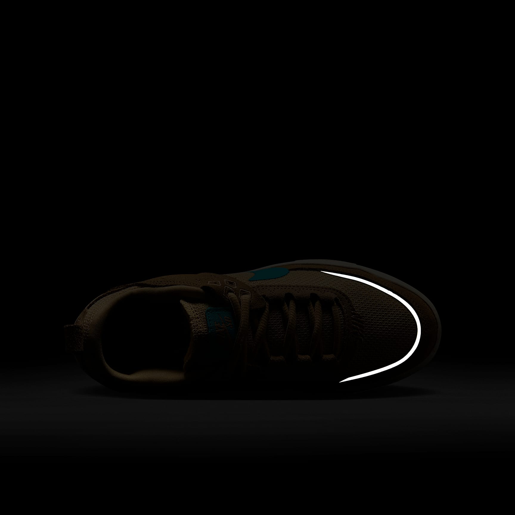 Nike SB Day One Big Kids' Skate Shoes