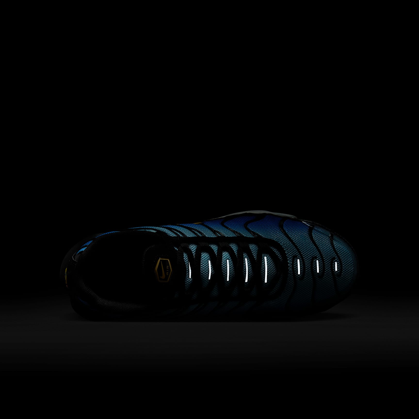 Nike Air Max Plus Big Kids' Shoes