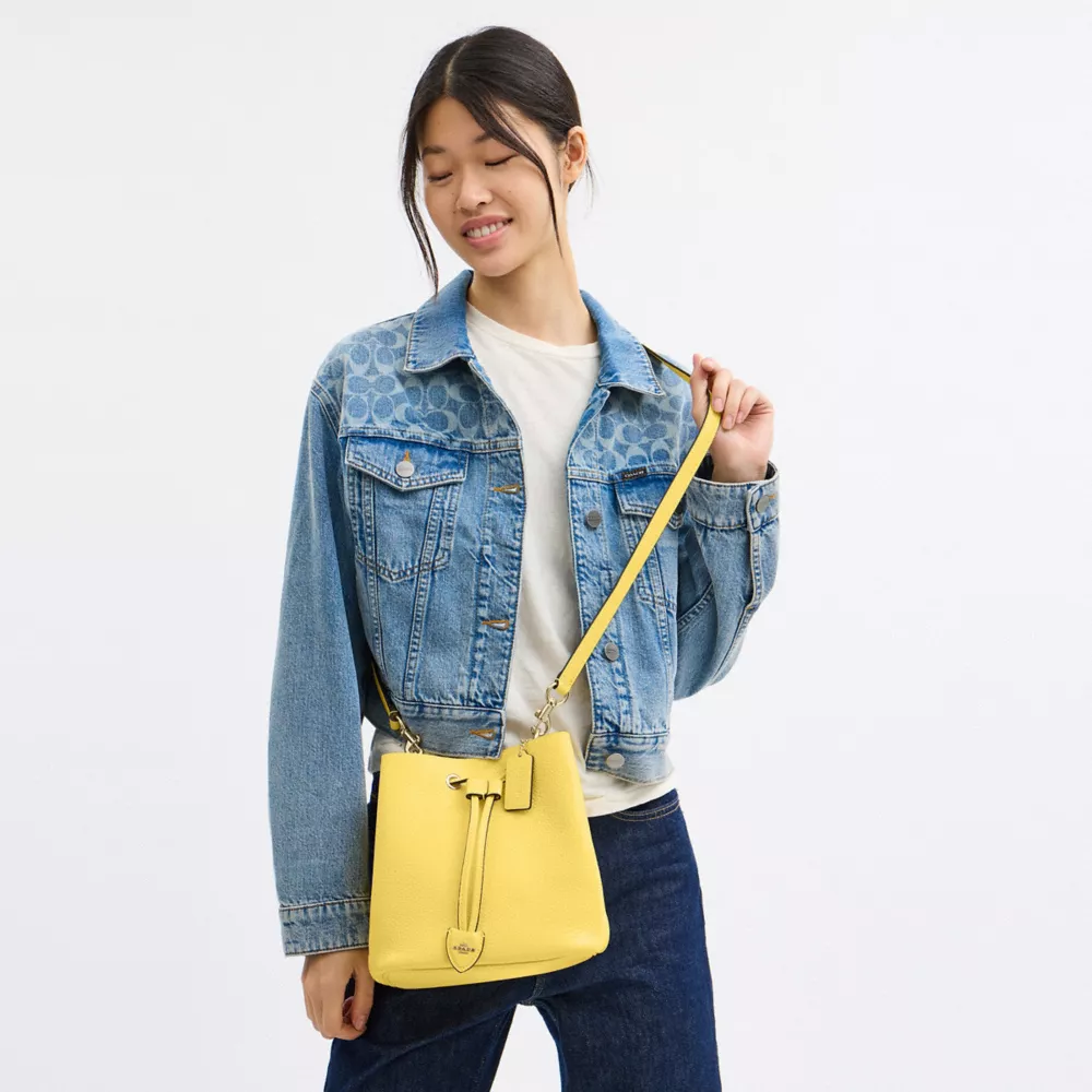 Сумка COACH Rowan Bucket Bag