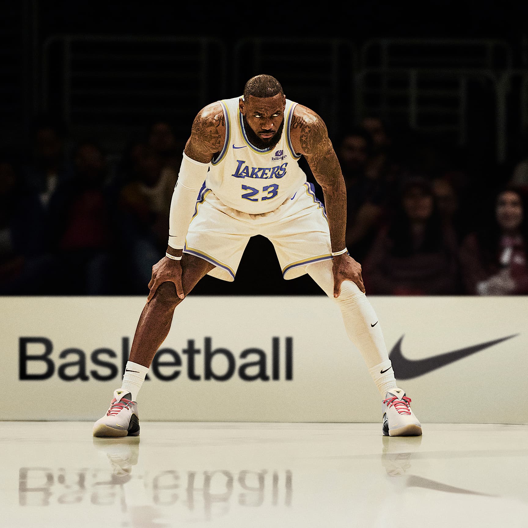 LeBron XXII Basketball Shoes