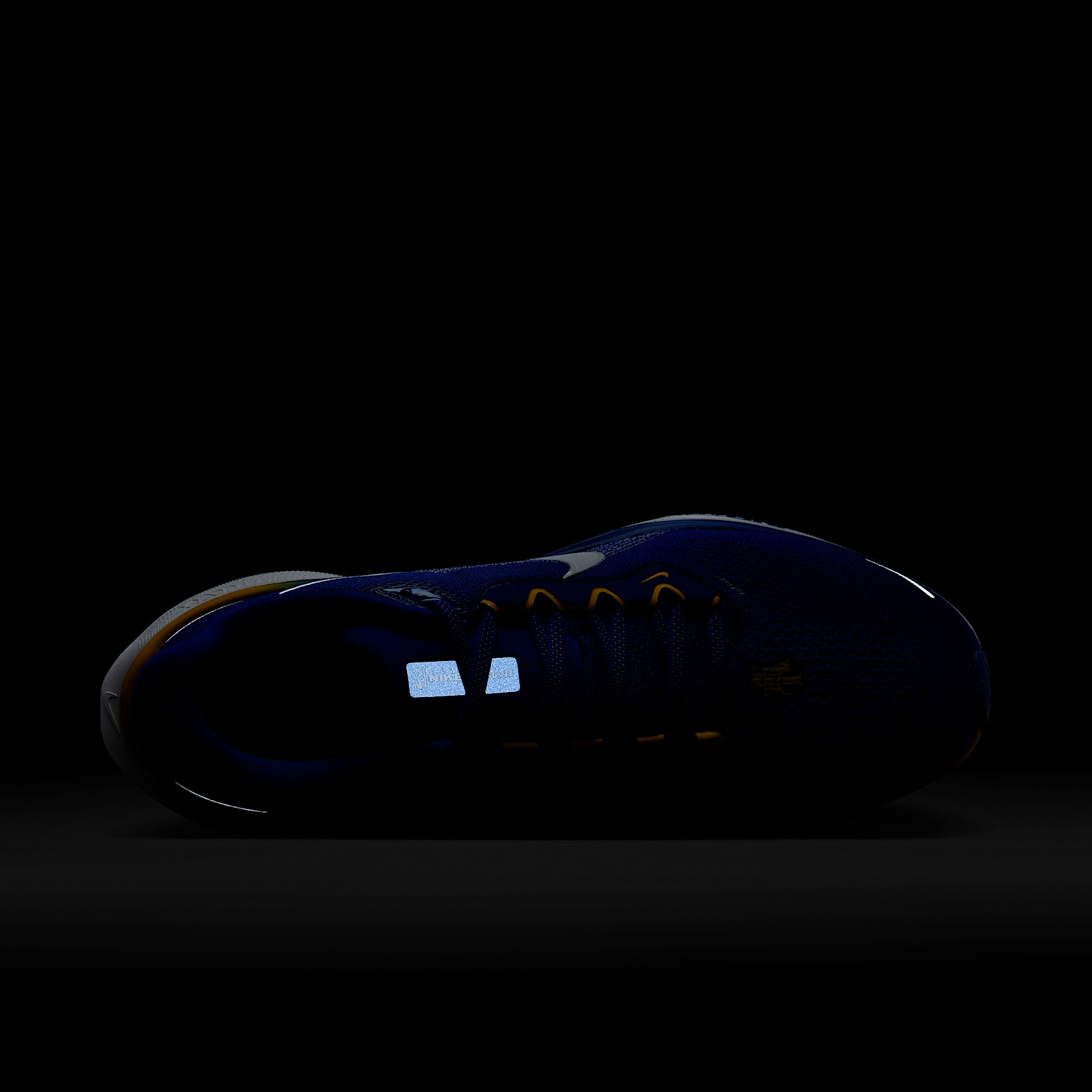 North Carolina A&T Pegasus 41 Men's Nike College Road Running Shoes