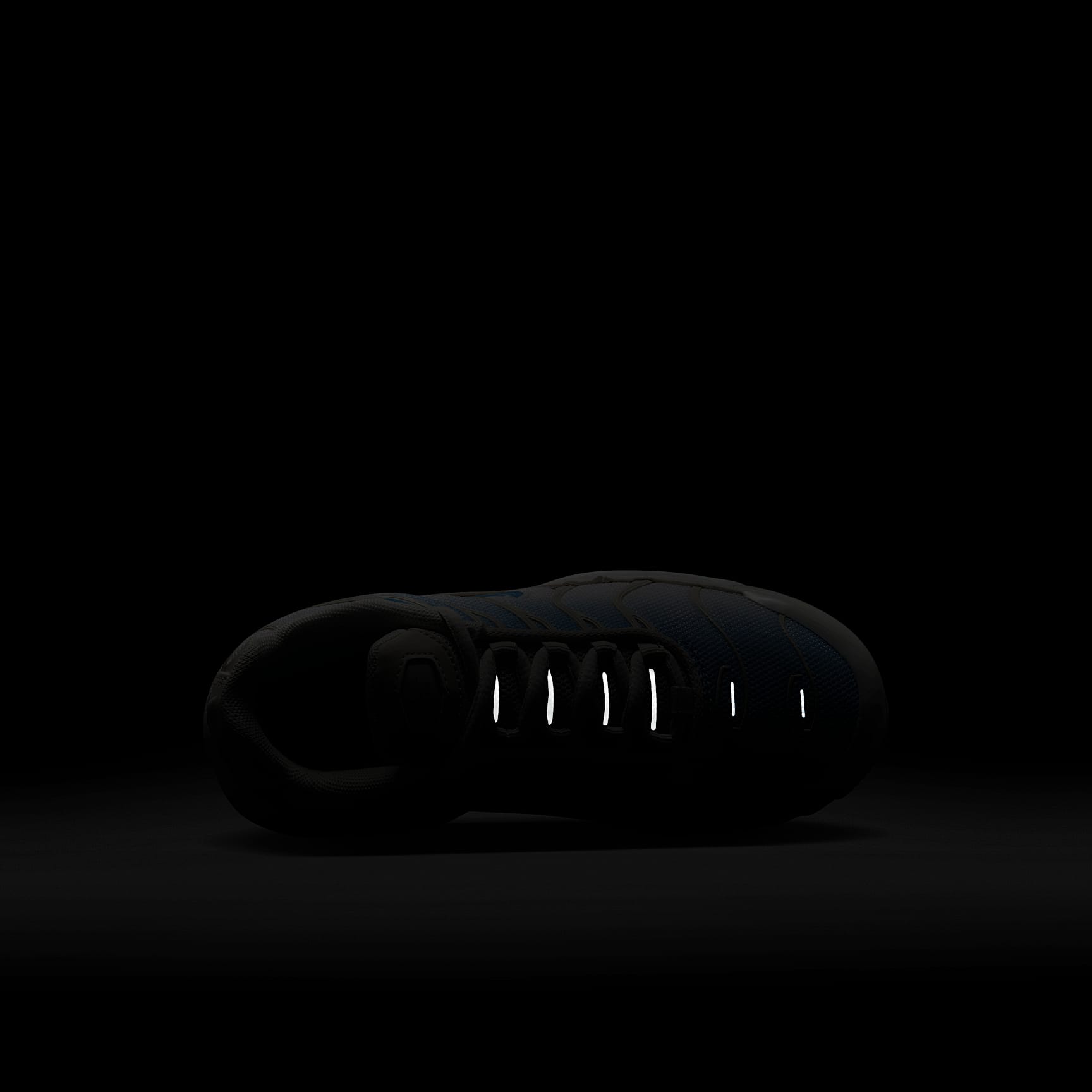 Nike Air Max Plus Little Kids' Shoes