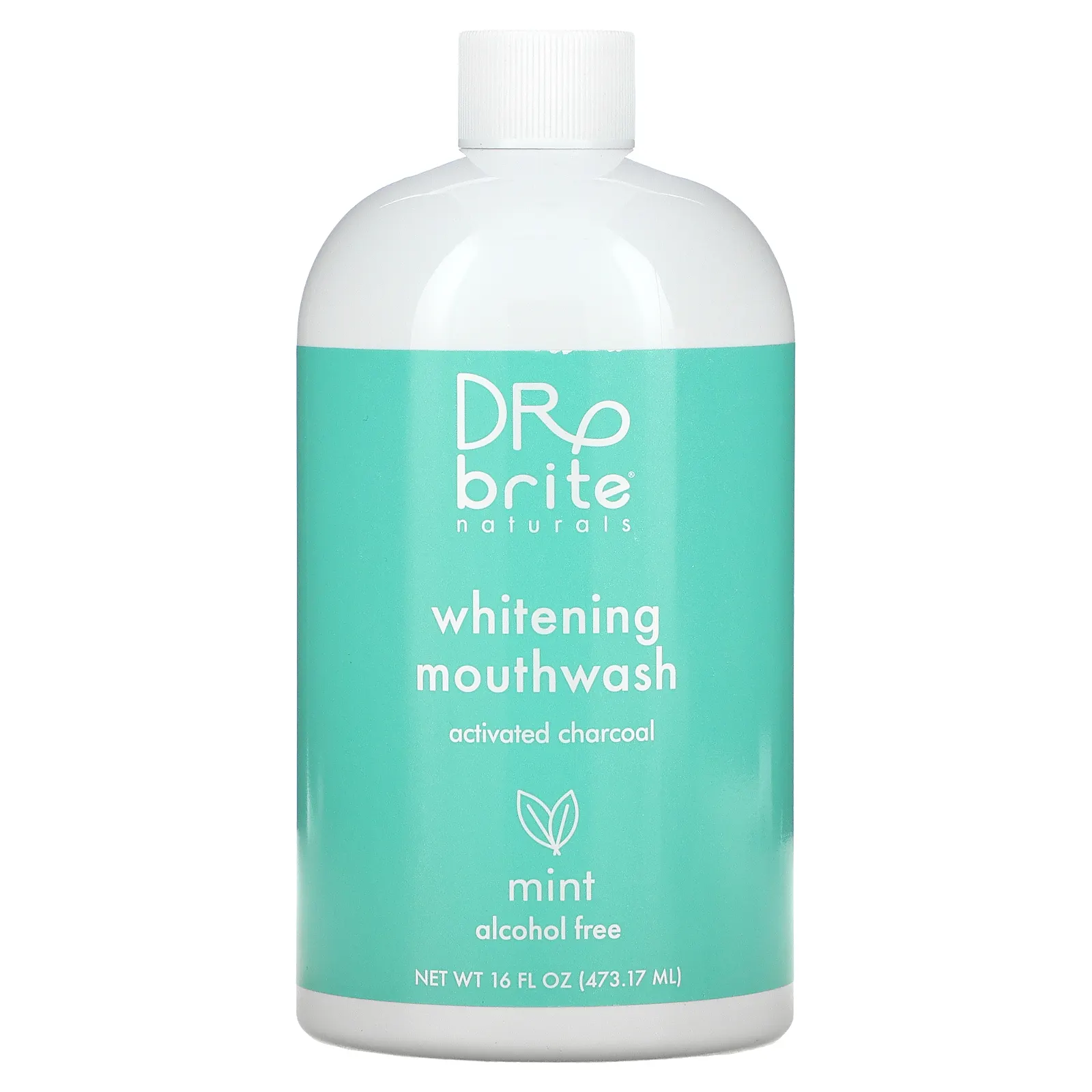 Dr. Brite, Отбеливающая жидкость для полоскания рта, без спирта, мята, 473,17 мл (16 жидк. Унций)