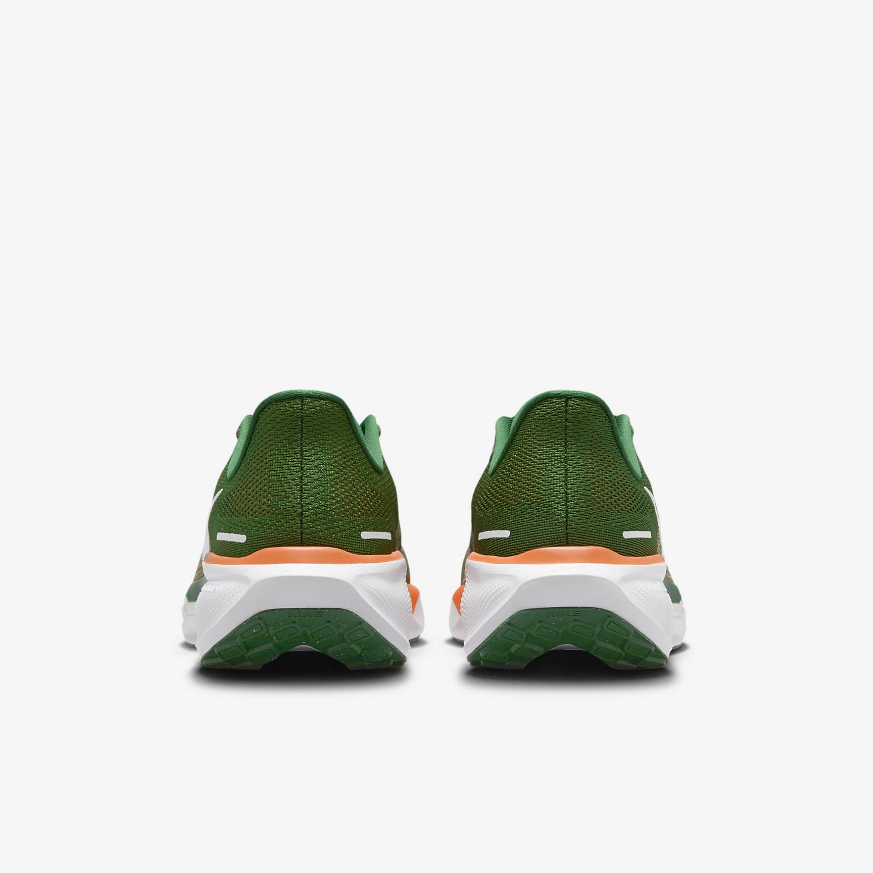 FAMU Pegasus 41 Men's Nike College Road Running Shoes