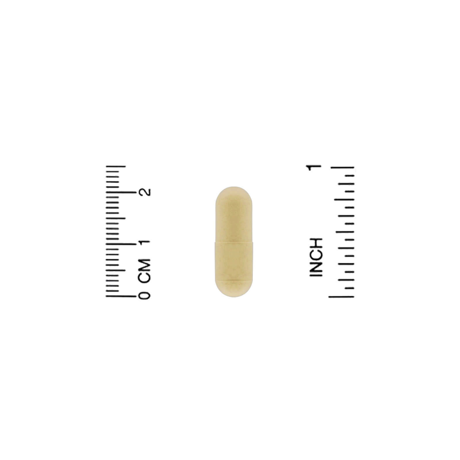 ZOI Research, поддержка выведения токсинов, 180 растительных капсул