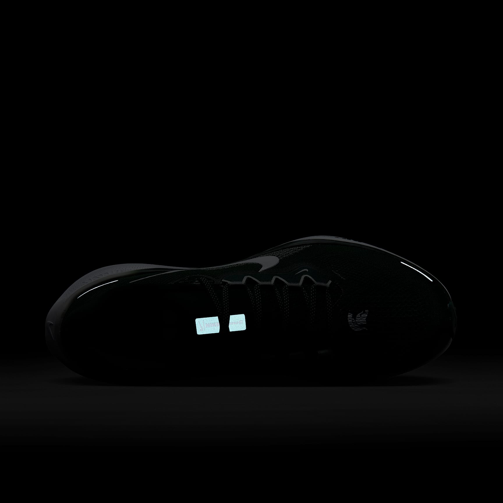 Michigan State Pegasus 41 Men's Nike College Road Running Shoes