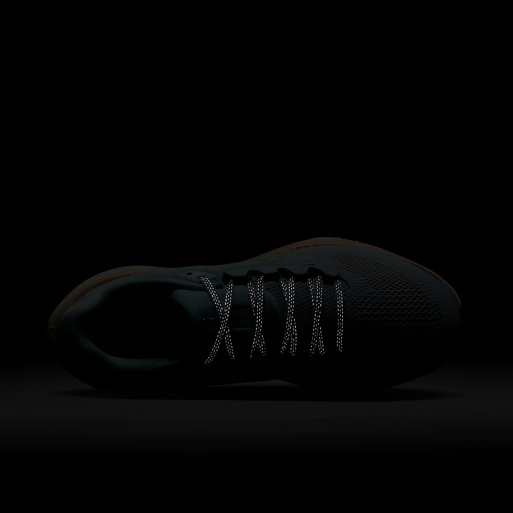 Nike Pegasus 41 PRM Women's Road Running Shoes