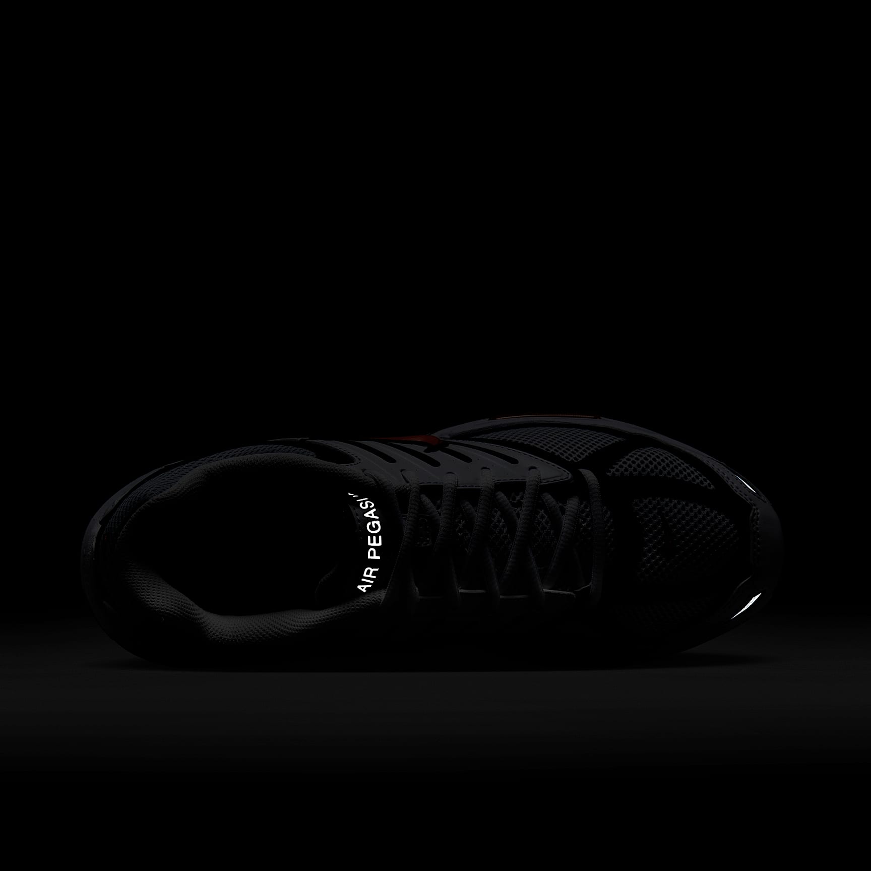 Nike Air Pegasus 2005 Men's Shoes