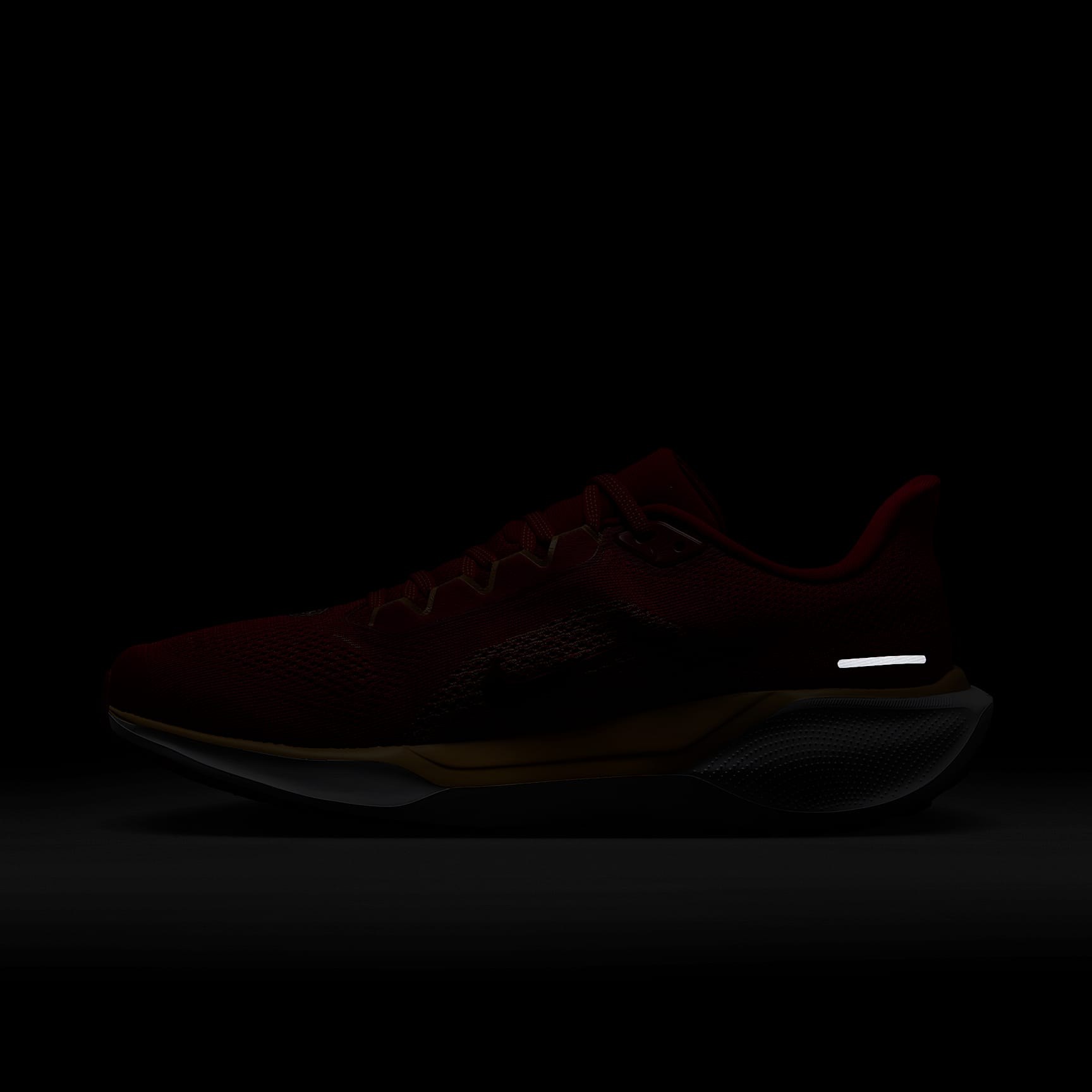 Nike Pegasus 41 NFL San Francisco 49ers Men's Road Running Shoes