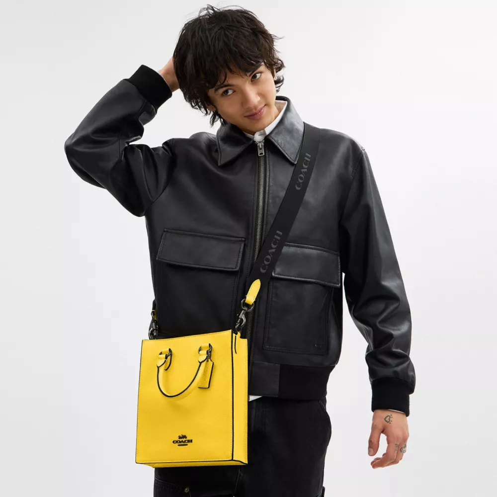 Сумка COACH Dylan Tote Bag