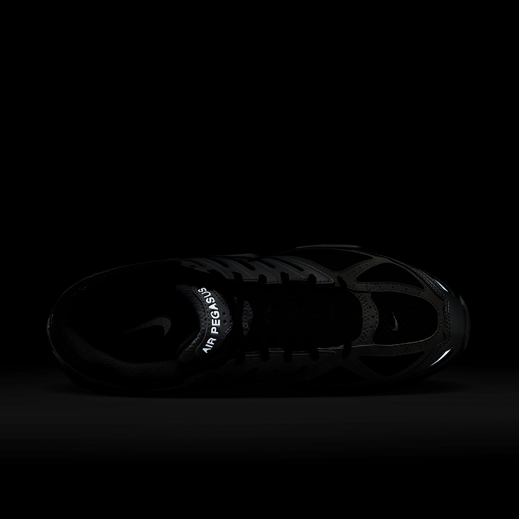 Nike Air Pegasus 2005 Men's Shoes