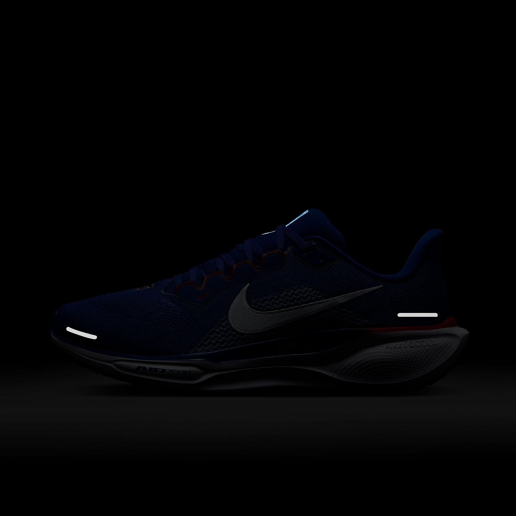 Florida Pegasus 41 Men's Nike College Road Running Shoes