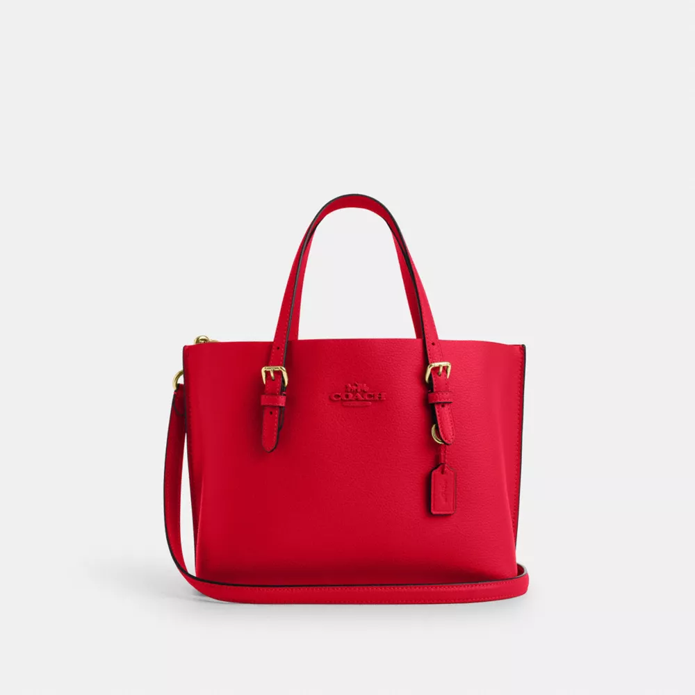 Сумка COACH Mollie Tote Bag 25