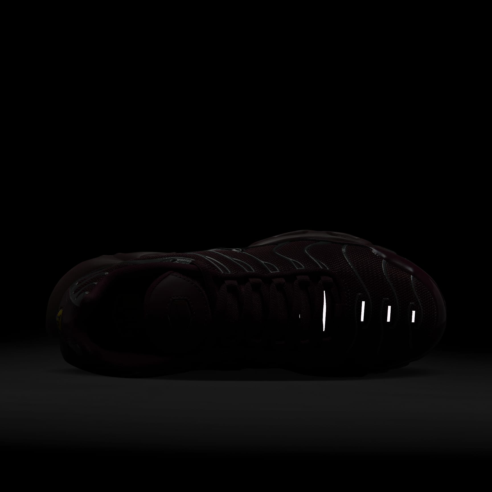 Nike Air Max Plus SE Women's Shoes