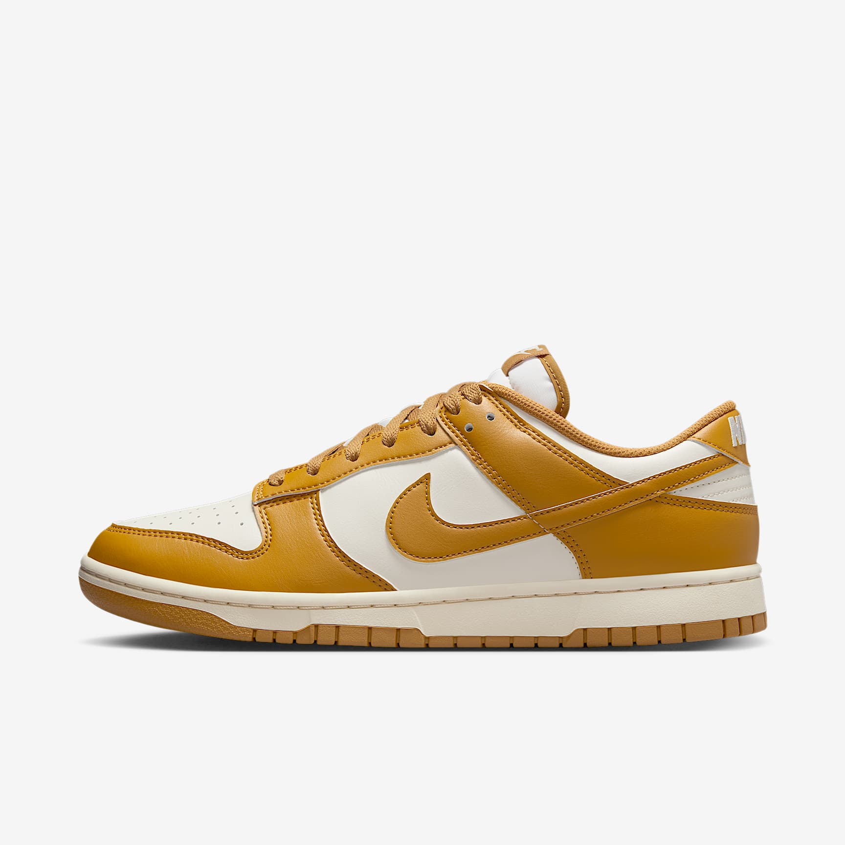 Nike Dunk Low Retro Men's Shoes