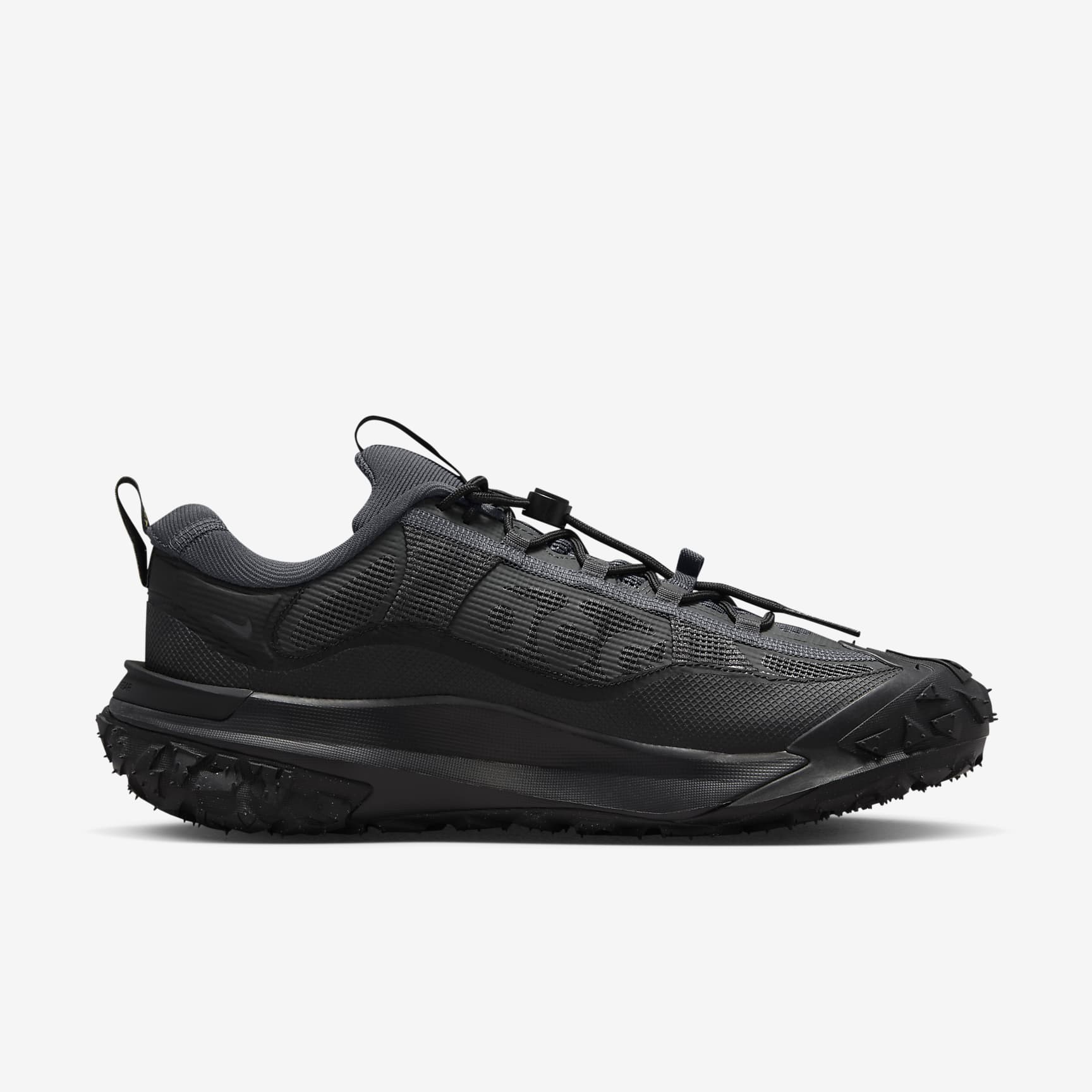 Nike ACG Mountain Fly 2 Low GORE-TEX Men's Shoes
