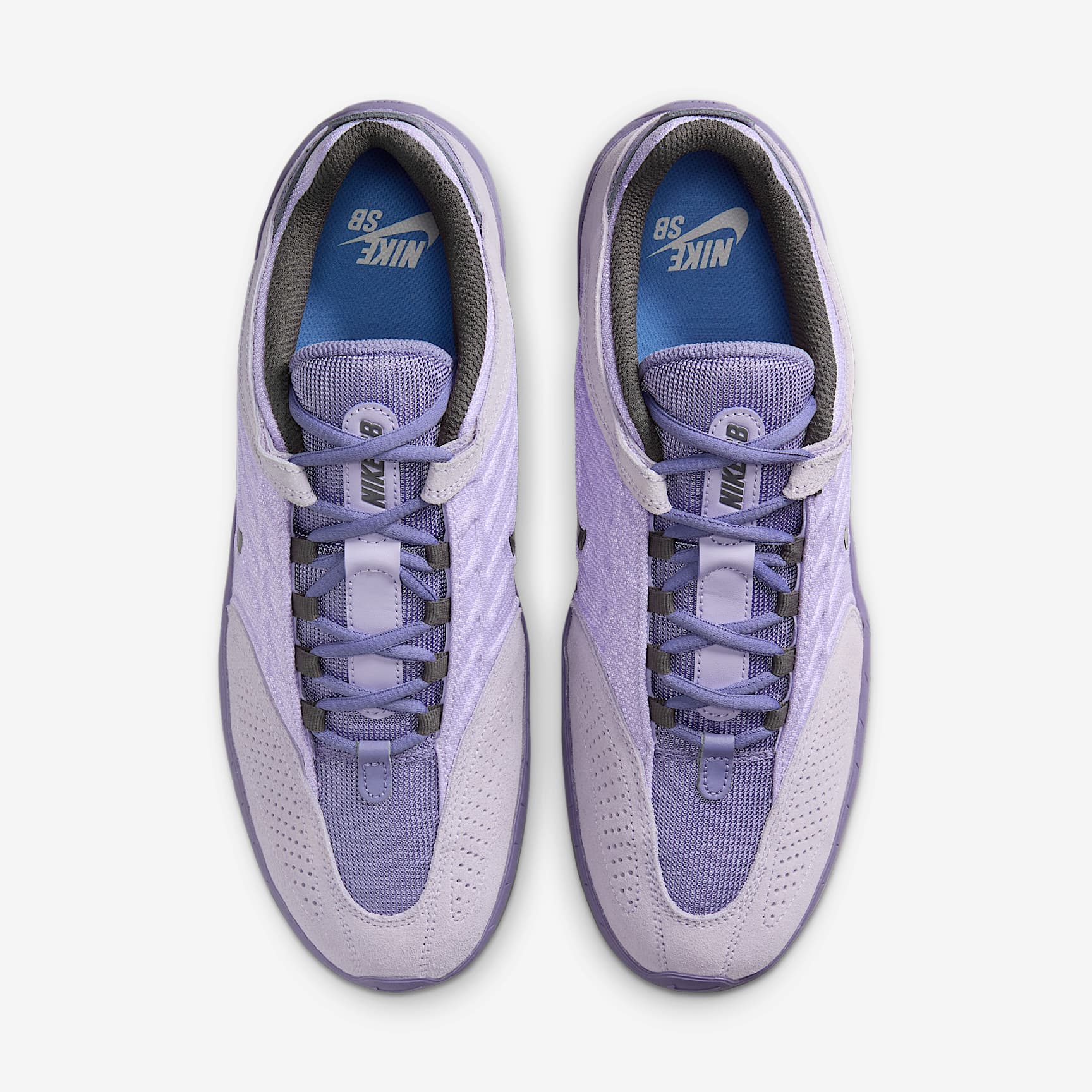 Nike SB Vertebrae Men's Shoes
