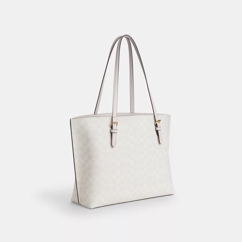 Сумка COACH Mollie Tote Bag In Signature Canvas