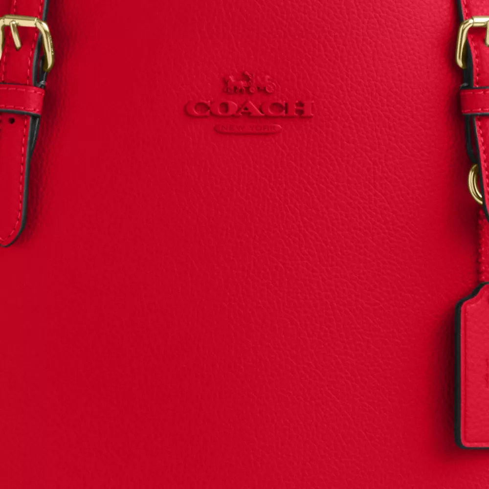 Сумка COACH Mollie Tote Bag