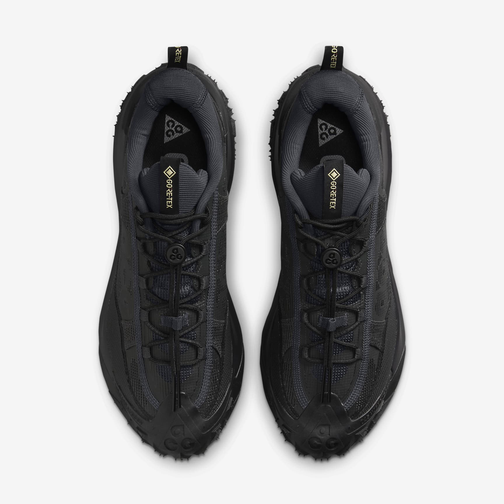 Nike ACG Mountain Fly 2 Low GORE-TEX Men's Shoes