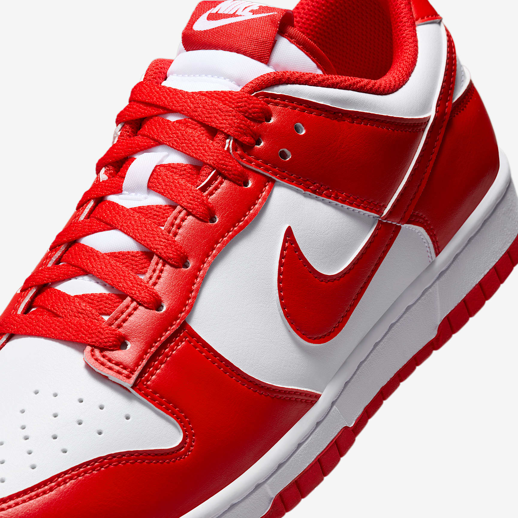 Nike Dunk Low Retro Men's Shoes