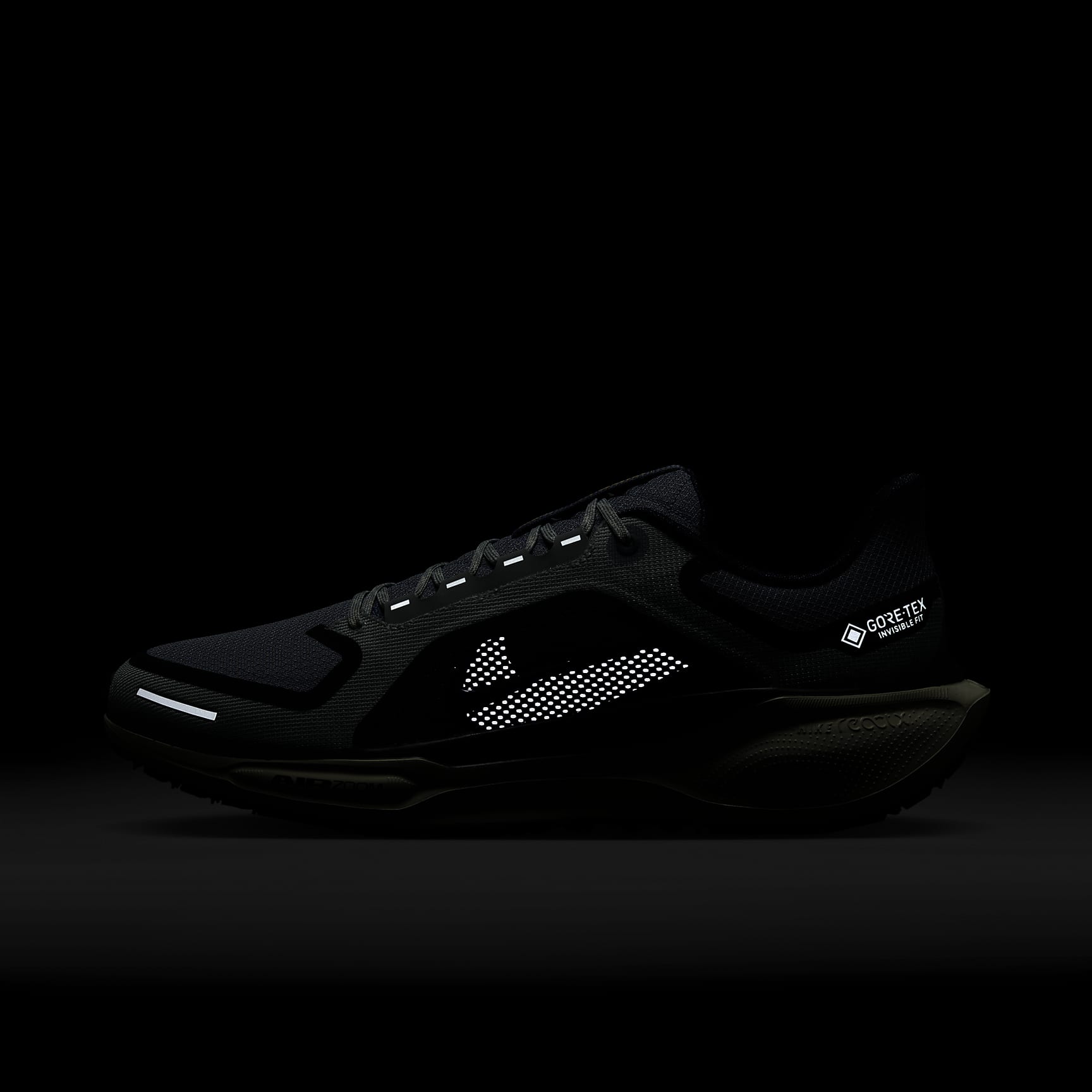 Nike Pegasus 41 GORE-TEX Men's Waterproof Road Running Shoes