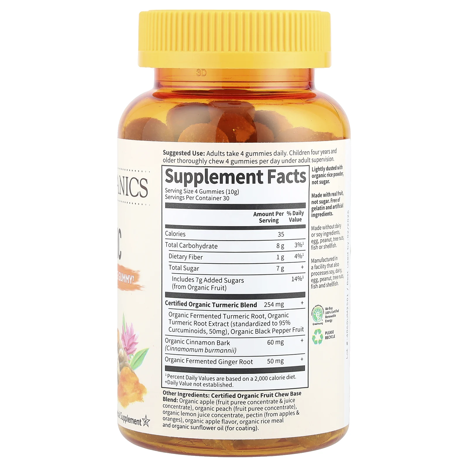 Garden of Life, MyKind Organics, куркума, противовоспалительные жевательные таблетки, 120 веганских жевательных таблеток