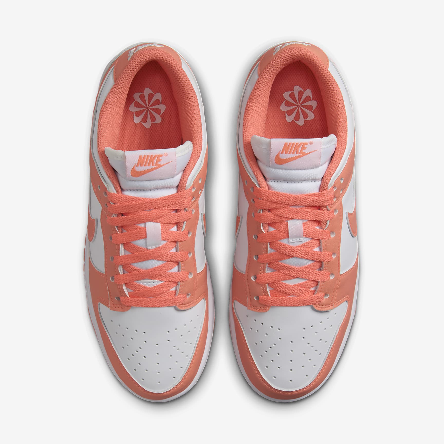 Nike Dunk Low Next Nature Women's Shoes