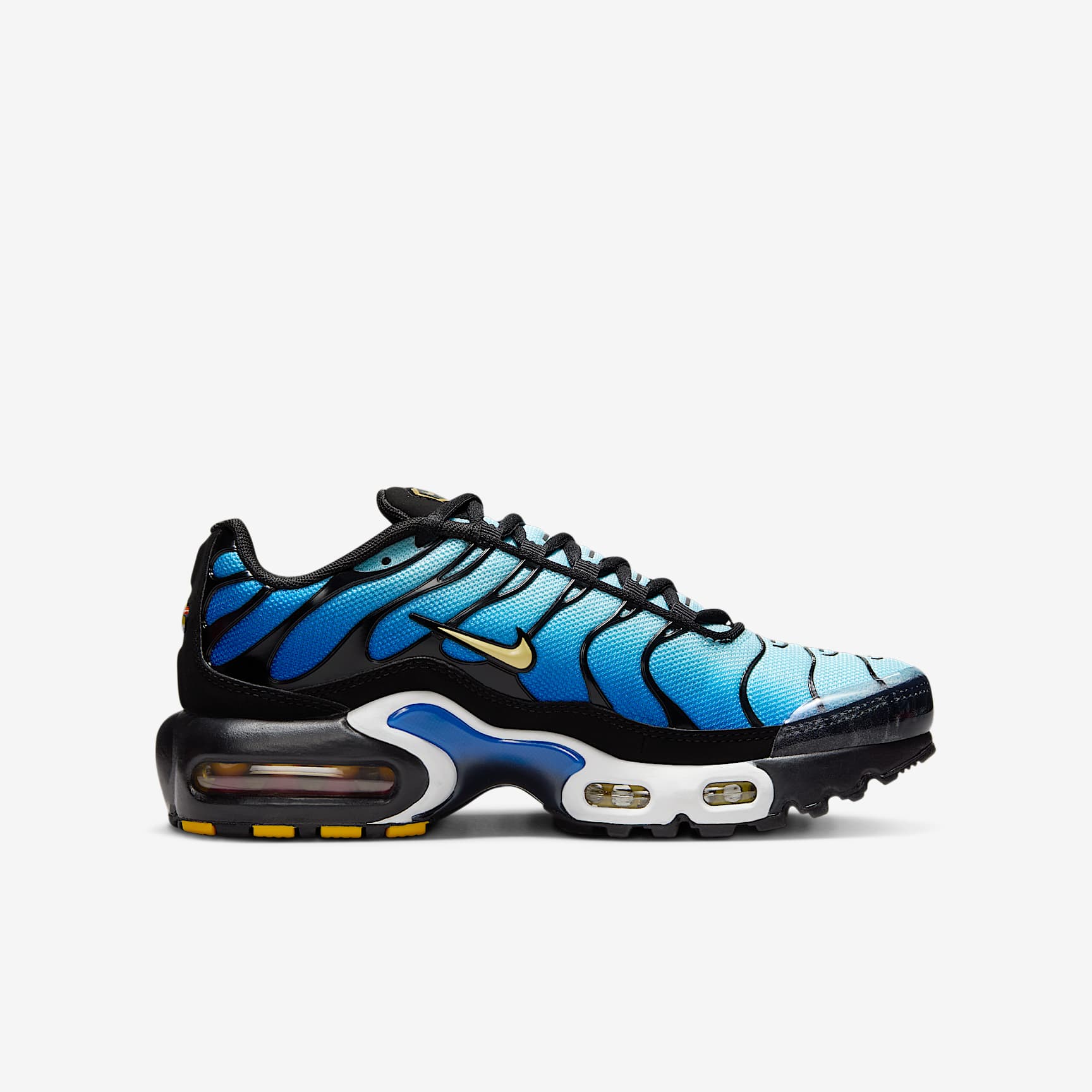 Nike Air Max Plus Big Kids' Shoes