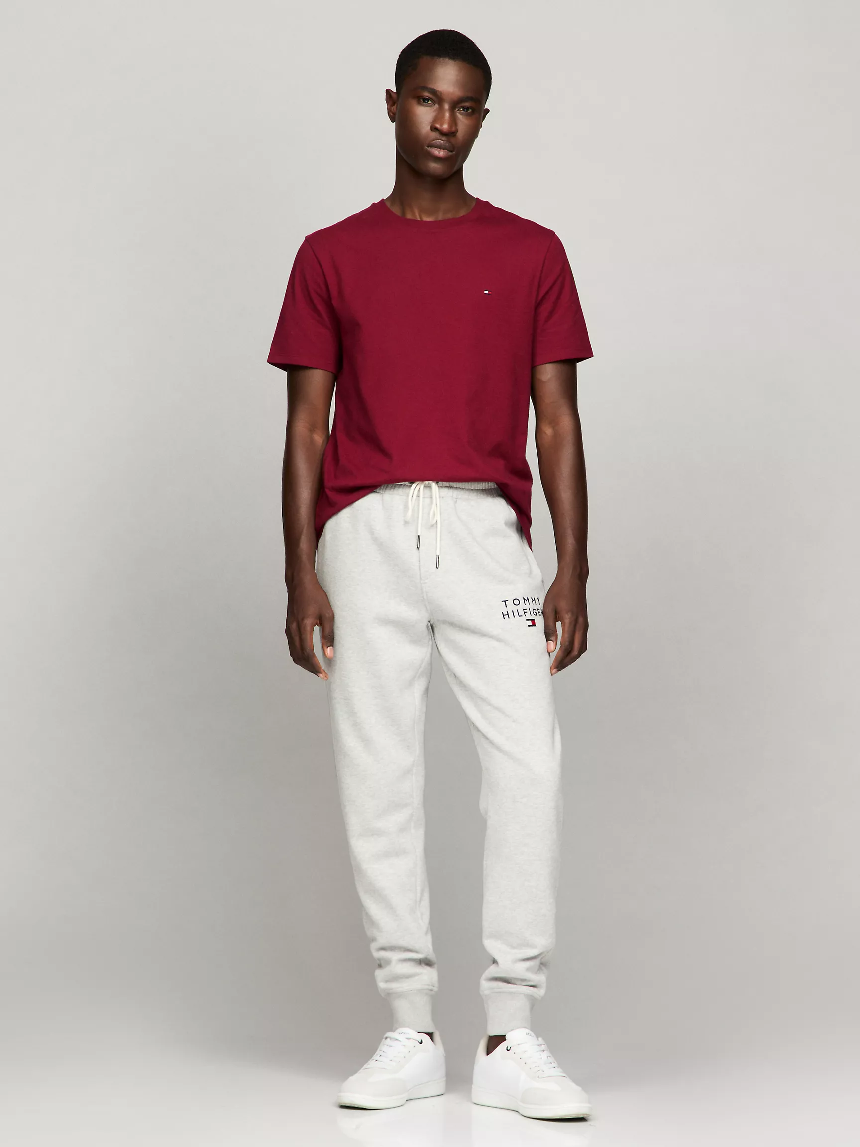 Мужская футболка Tommy Hilfiger, Повседневная футболка